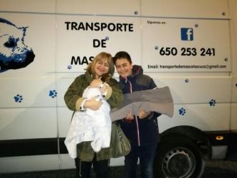 GPAR :: Grupo de Protección Animal de Rute