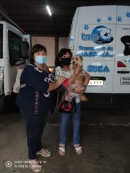 GPAR :: Grupo de Protección Animal de Rute