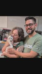 GPAR :: Grupo de Protección Animal de Rute