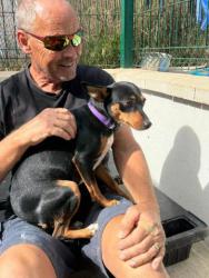 GPAR :: Grupo de Protección Animal de Rute