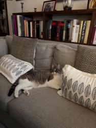 GPAR :: Grupo de Protección Animal de Rute