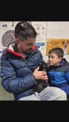 GPAR :: Grupo de Protección Animal de Rute