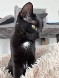 GPAR :: Grupo de Protección Animal de Rute