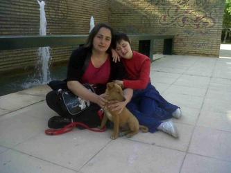 GPAR :: Grupo de Protección Animal de Rute