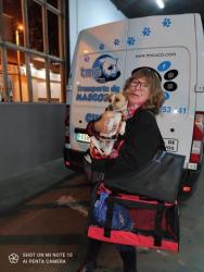 GPAR :: Grupo de Protección Animal de Rute