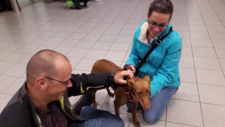 GPAR :: Grupo de Protección Animal de Rute