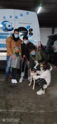 GPAR :: Grupo de Protección Animal de Rute