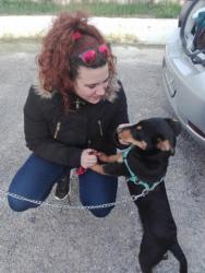 GPAR :: Grupo de Protección Animal de Rute