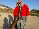 GPAR :: Grupo de Protección Animal de Rute