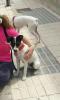 GPAR :: Grupo de Protección Animal de Rute