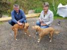 GPAR :: Grupo de Protección Animal de Rute