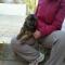 GPAR :: Grupo de Protección Animal de Rute