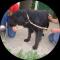 GPAR :: Grupo de Protección Animal de Rute