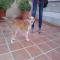 GPAR :: Grupo de Protección Animal de Rute