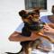 GPAR :: Grupo de Protección Animal de Rute