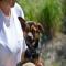 GPAR :: Grupo de Protección Animal de Rute