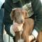 GPAR :: Grupo de Protección Animal de Rute