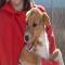 GPAR :: Grupo de Protección Animal de Rute