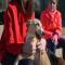 GPAR :: Grupo de Protección Animal de Rute