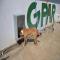 GPAR :: Grupo de Protección Animal de Rute