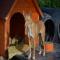 GPAR :: Grupo de Protección Animal de Rute