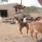 GPAR :: Grupo de Protección Animal de Rute