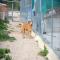 GPAR :: Grupo de Protección Animal de Rute
