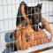 GPAR :: Grupo de Protección Animal de Rute