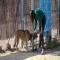 GPAR :: Grupo de Protección Animal de Rute