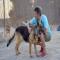 GPAR :: Grupo de Protección Animal de Rute