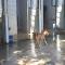 GPAR :: Grupo de Protección Animal de Rute