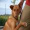 GPAR :: Grupo de Protección Animal de Rute