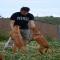 GPAR :: Grupo de Protección Animal de Rute