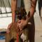 GPAR :: Grupo de Protección Animal de Rute