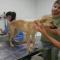 GPAR :: Grupo de Protección Animal de Rute