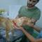 GPAR :: Grupo de Protección Animal de Rute