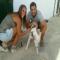 GPAR :: Grupo de Protección Animal de Rute