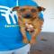 GPAR :: Grupo de Protección Animal de Rute