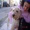 GPAR :: Grupo de Protección Animal de Rute