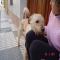 GPAR :: Grupo de Protección Animal de Rute