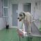 GPAR :: Grupo de Protección Animal de Rute