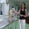 GPAR :: Grupo de Protección Animal de Rute