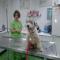 GPAR :: Grupo de Protección Animal de Rute