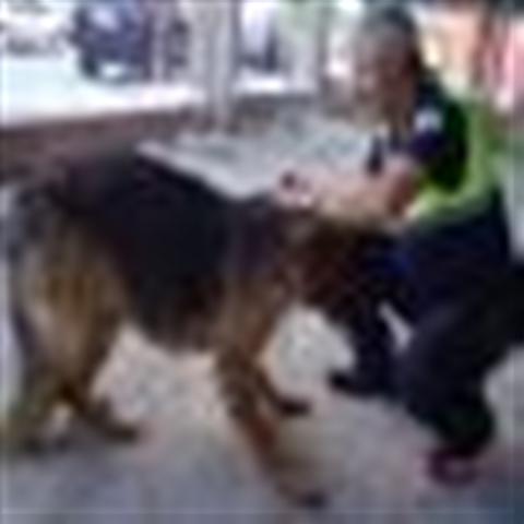 GPAR :: Grupo de Protección Animal de Rute