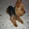 GPAR :: Grupo de Protección Animal de Rute
