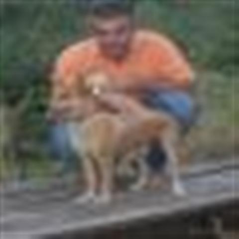 GPAR :: Grupo de Protección Animal de Rute