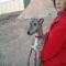 GPAR :: Grupo de Protección Animal de Rute