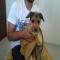 GPAR :: Grupo de Protección Animal de Rute