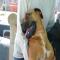 GPAR :: Grupo de Protección Animal de Rute