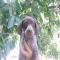 GPAR :: Grupo de Protección Animal de Rute